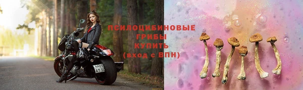 хмурый Алексеевка