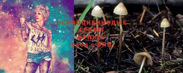 гидра Абинск