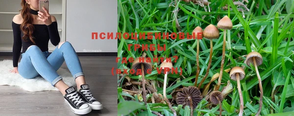 ГАЛЛЮЦИНОГЕННЫЕ ГРИБЫ Алзамай