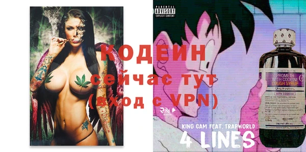 ECSTASY Абаза