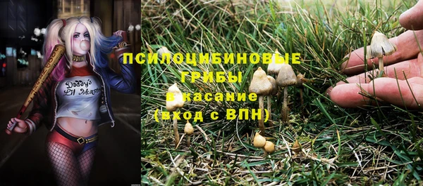 ECSTASY Абаза